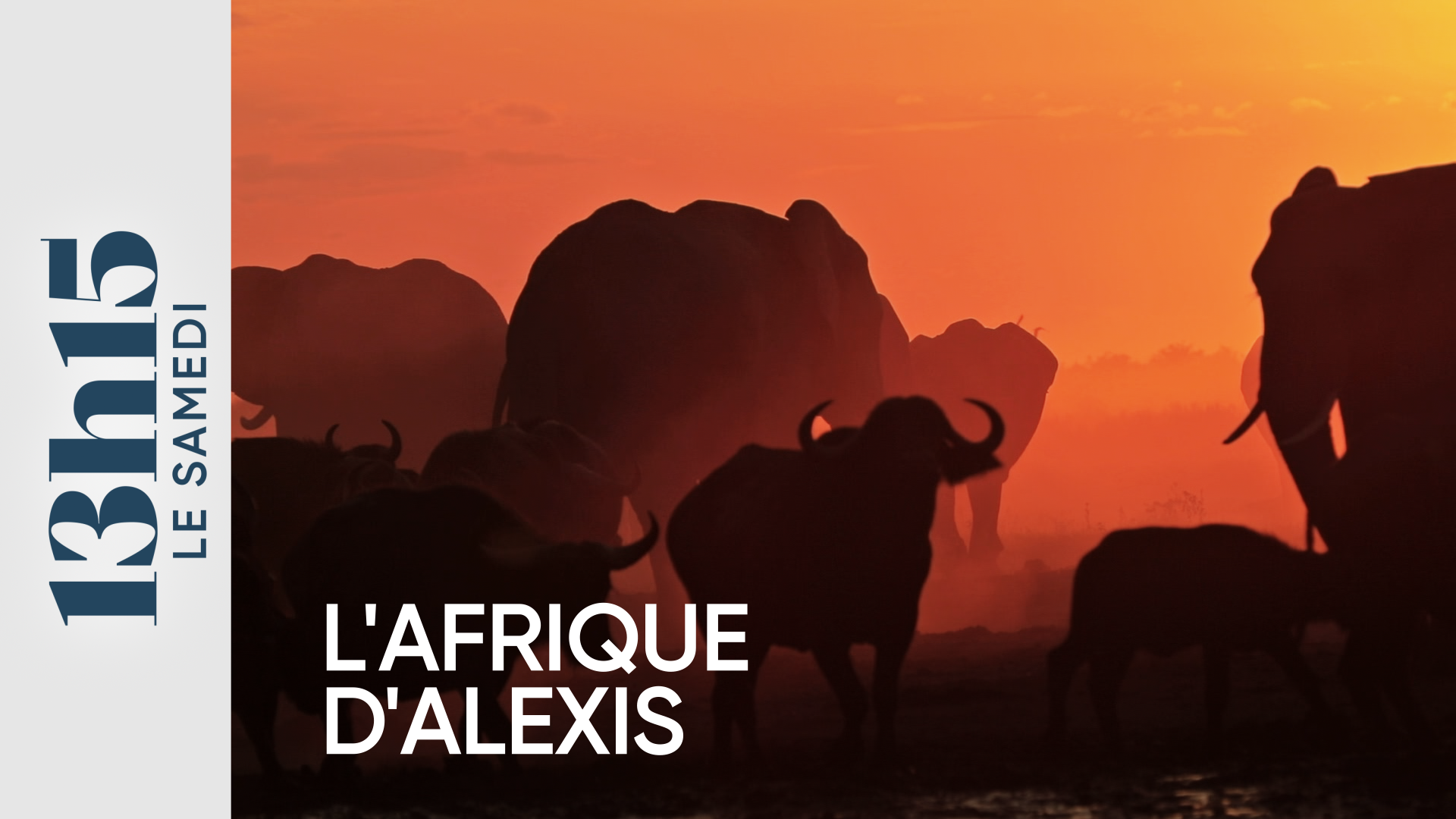 L'Afrique d'Alexis