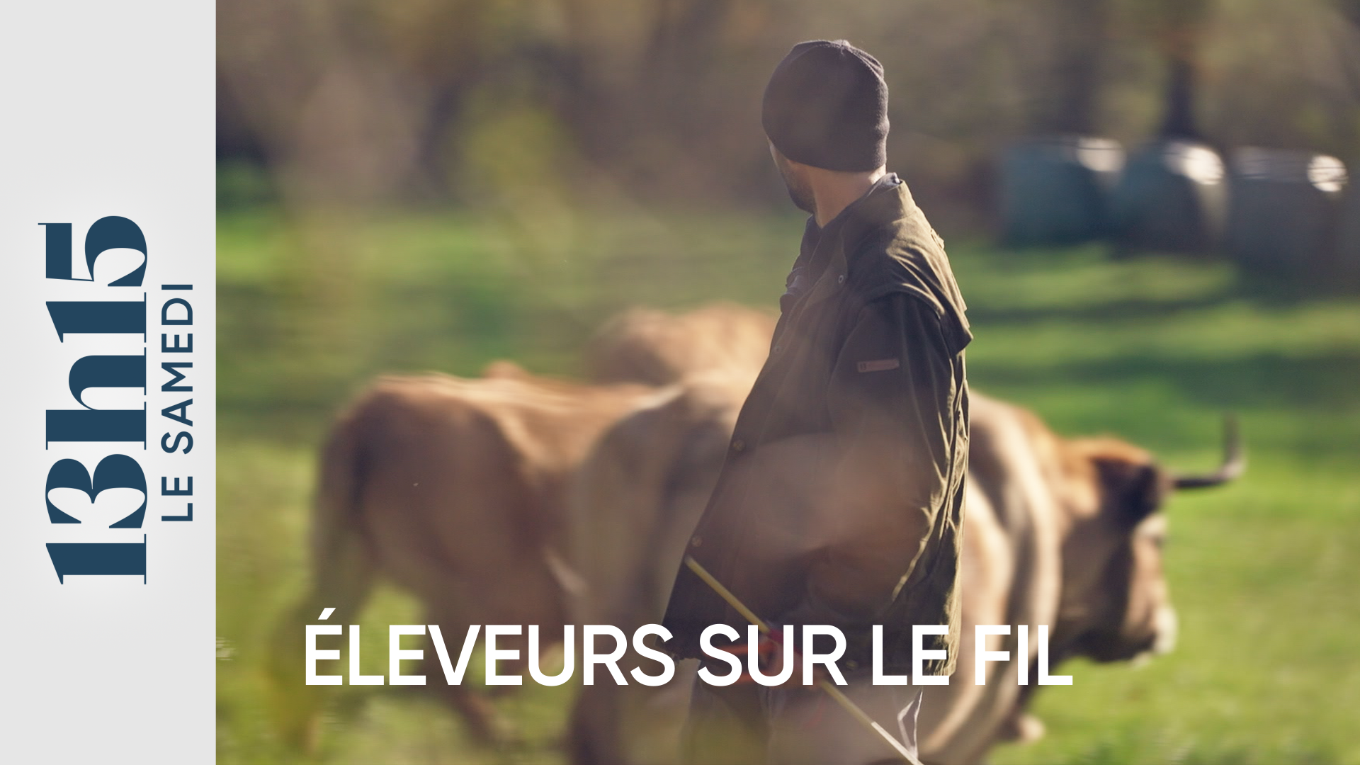 Eleveurs sur le fil 