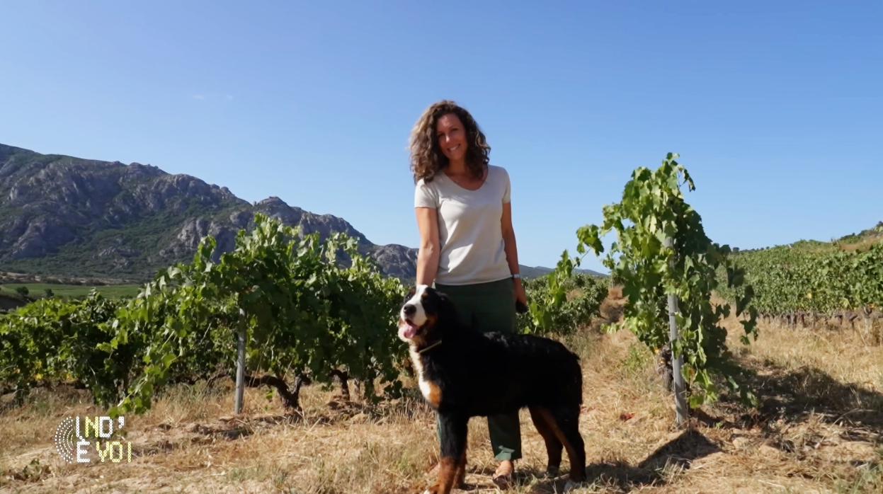 Une vigne de père en fille !
