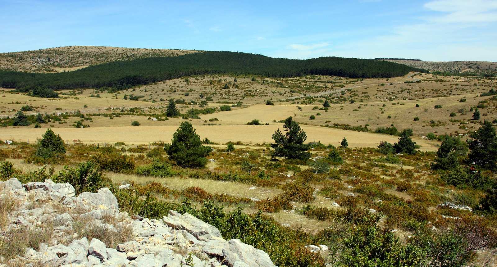 ©droits réservésCausse de Sauveterre Lozère