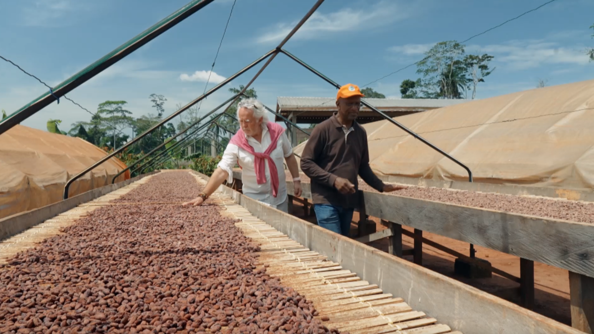 cacao et chocolat 