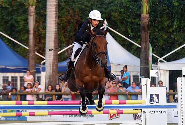 compétition destreland show d'obstacles