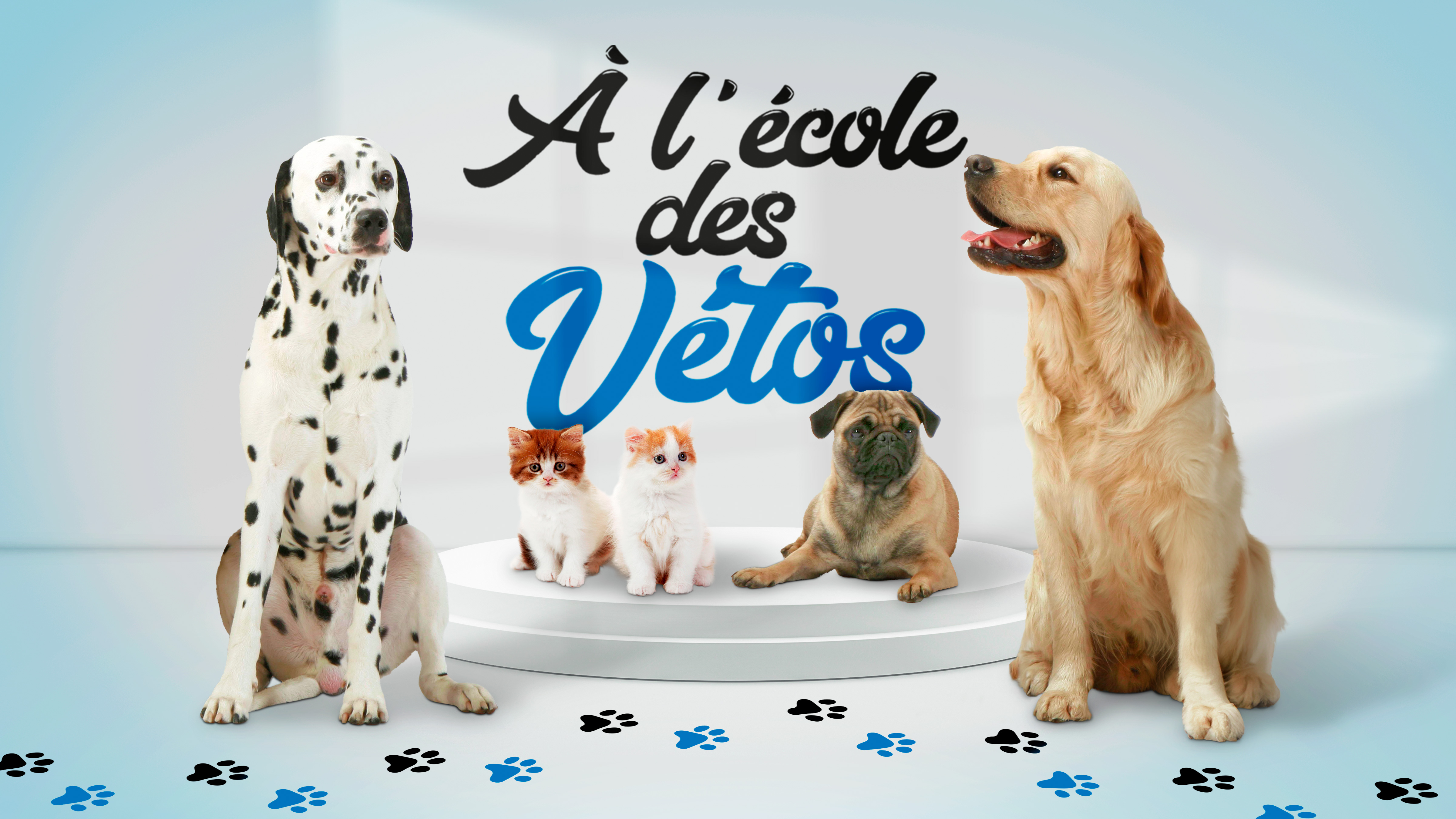 A l'école des vétos