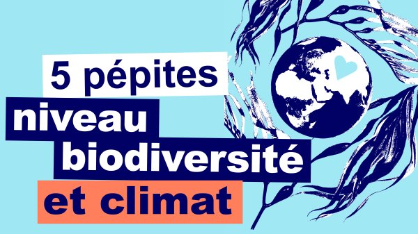 biodiversité