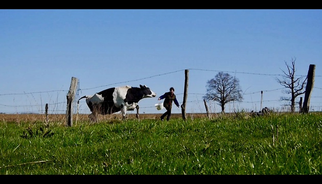 Les vaches n'auront plus de nom CREDIT Douk douk productions