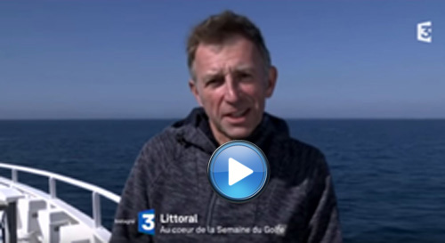 Bande annonce Semaine du Golfe