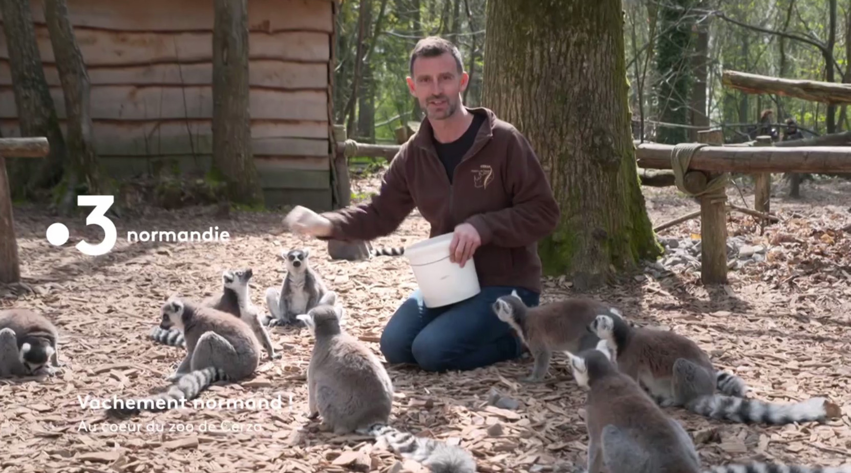 Bande-annonce Vachement Normand au zoo de Cerza