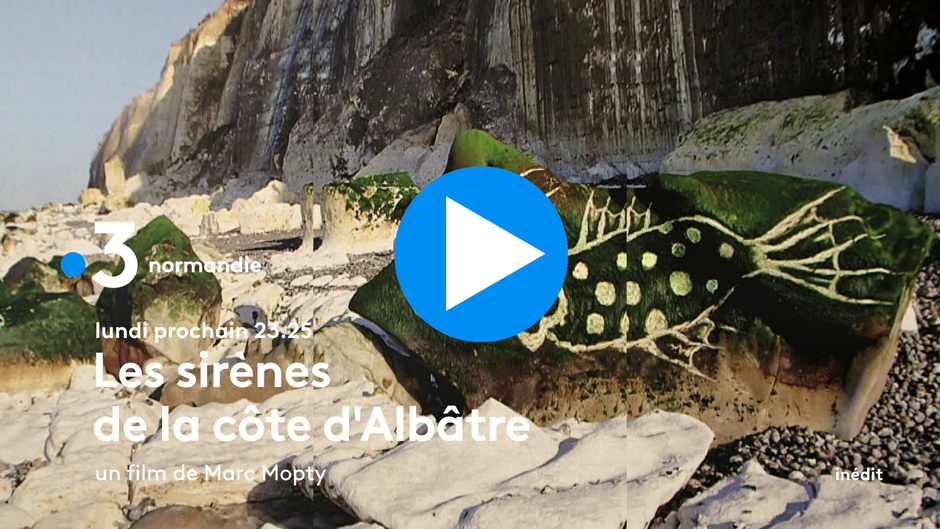 BA Normandie Sirènes de la côte d'albatre