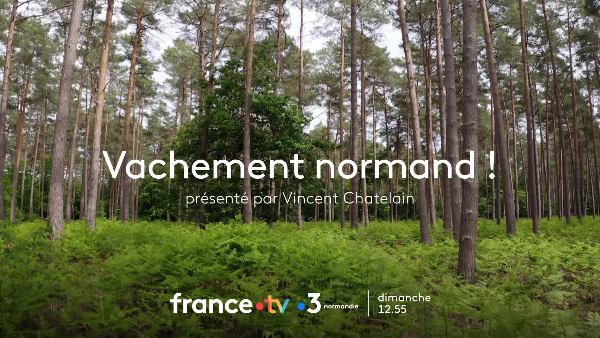 VAN Homme chevreuil