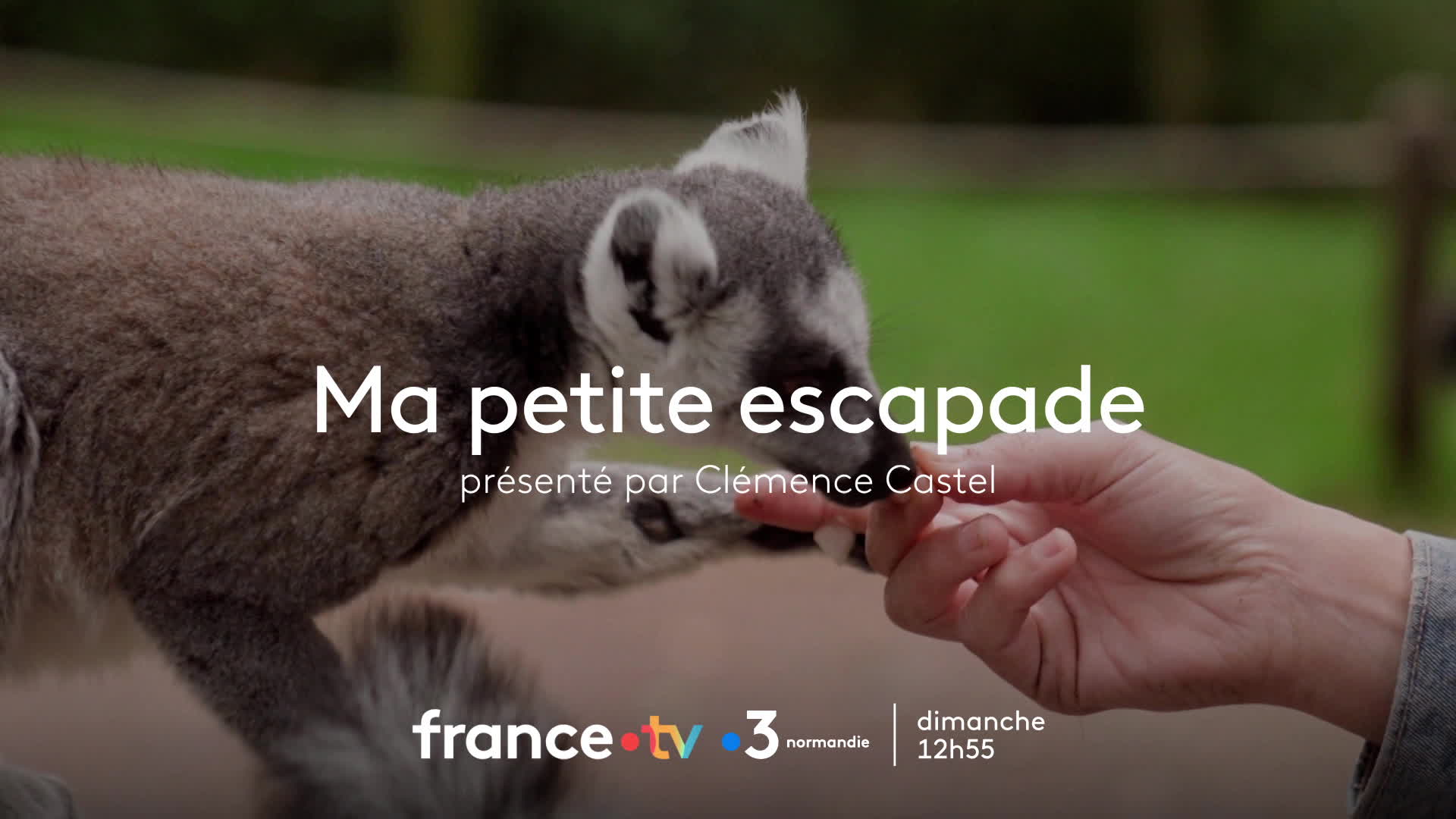 BA BO les animaux