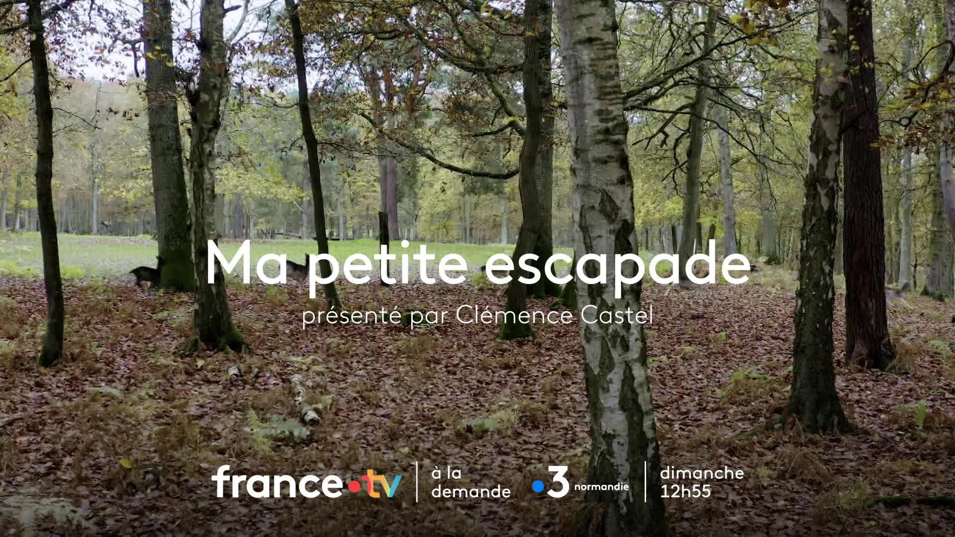 BA Normandie Océane à Caen
