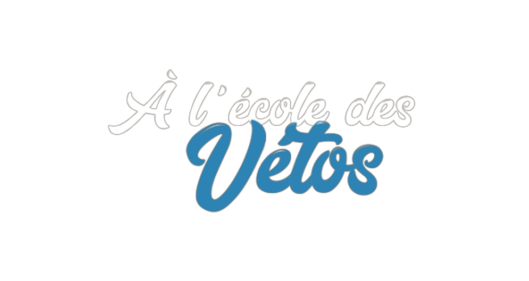 A l'école des vétos logo