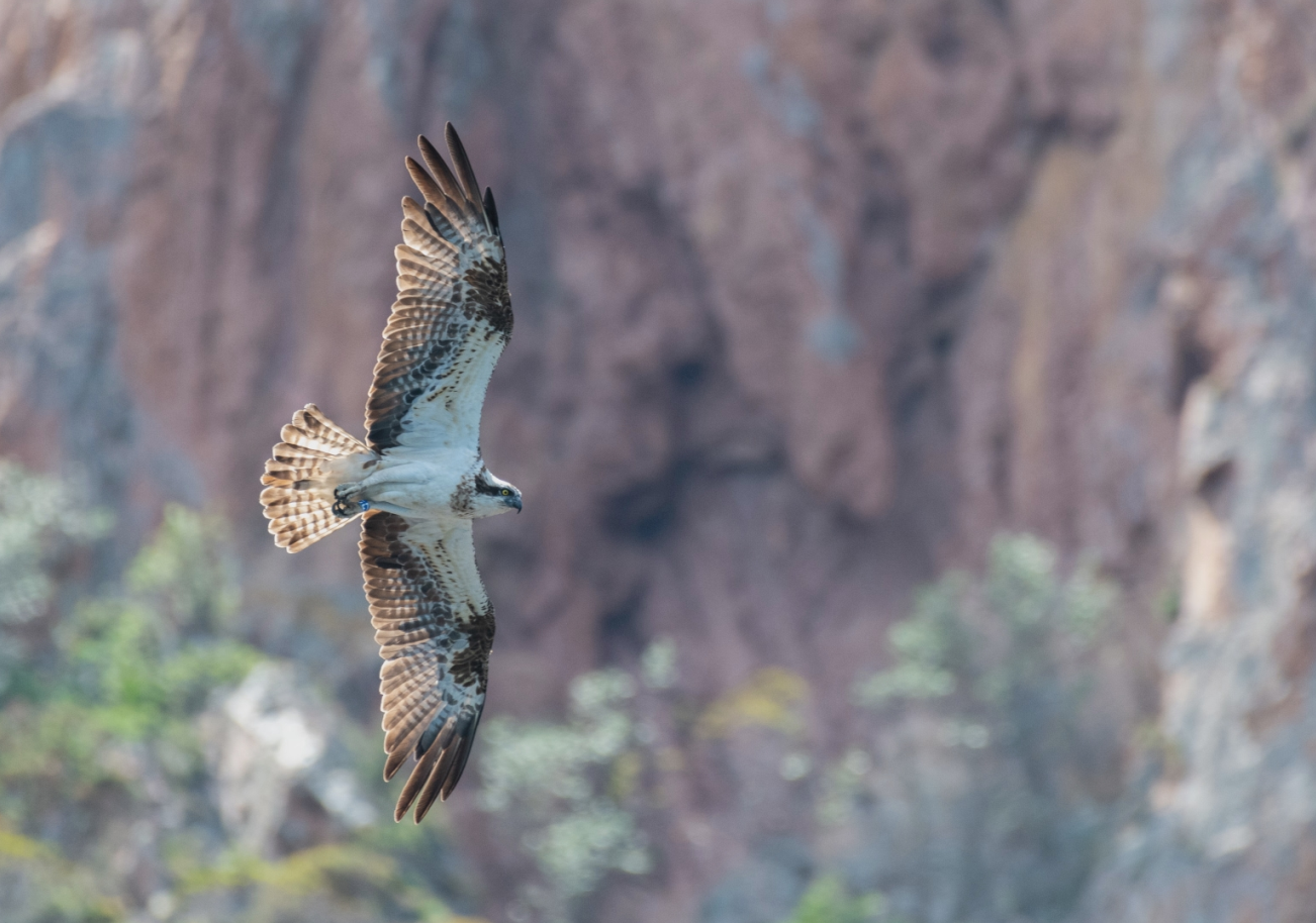 @ Winter productions