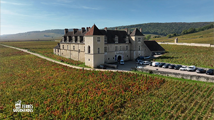 Nos terres gourmandes