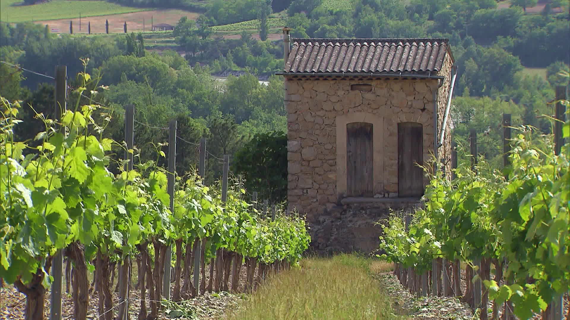 Drôme Ardèche, deux terres jumelles