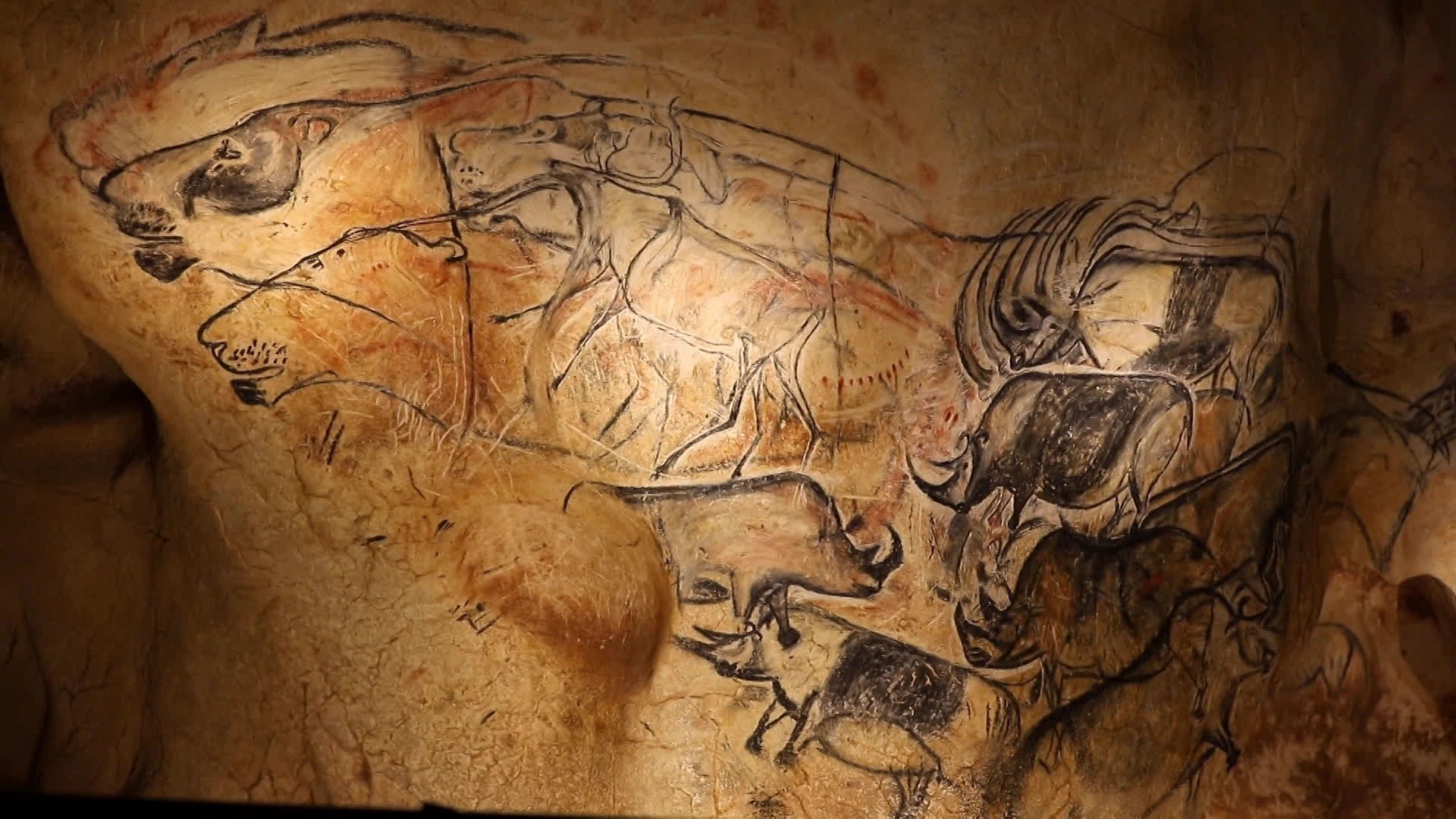 chauvet