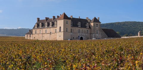 Château du Clos de Vougeot