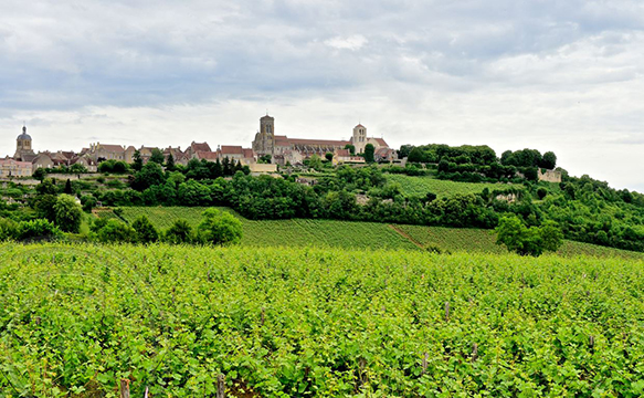 Colline de Vézelay © Heko Köster