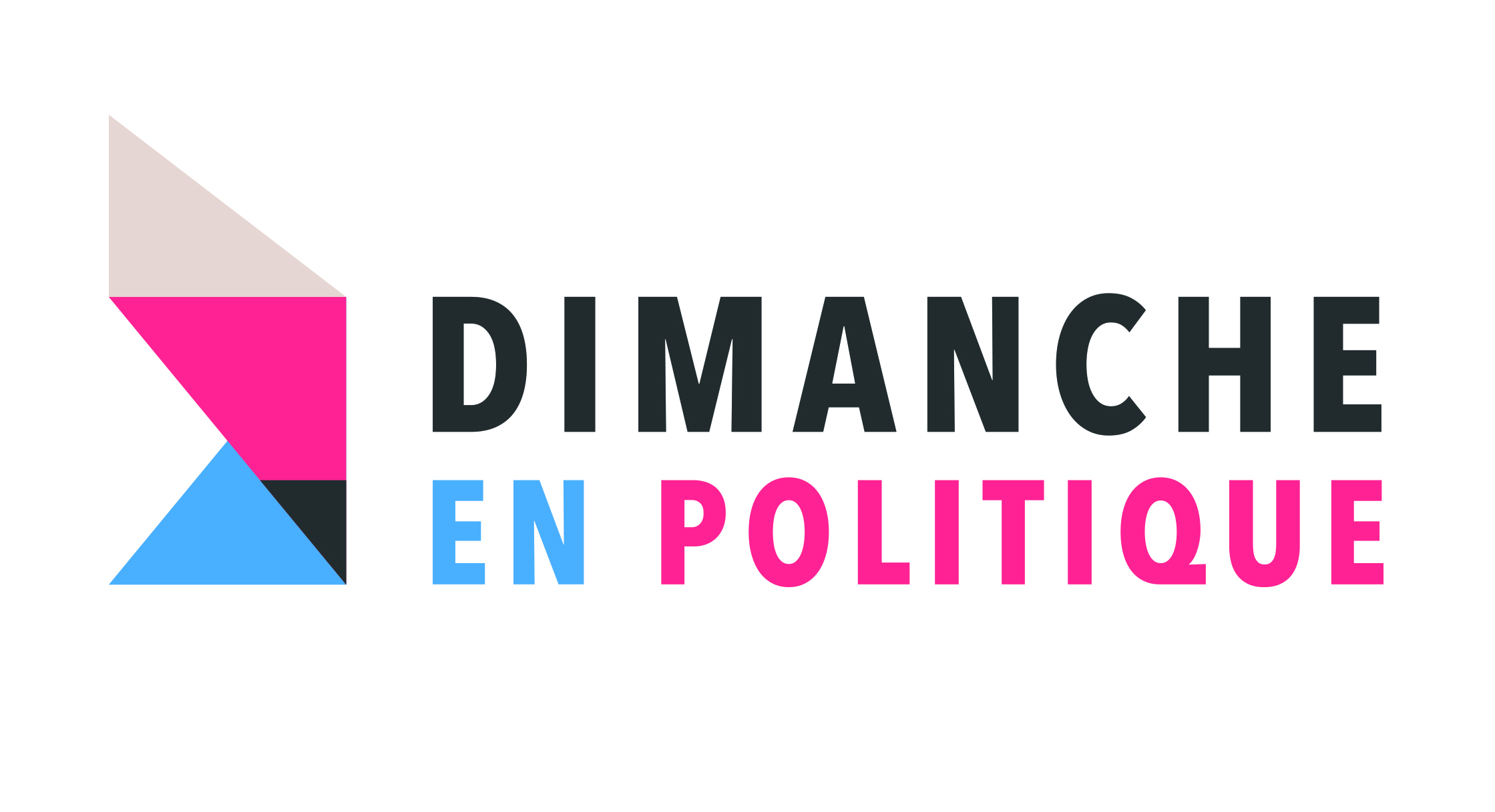 logo Dimanche en Politique