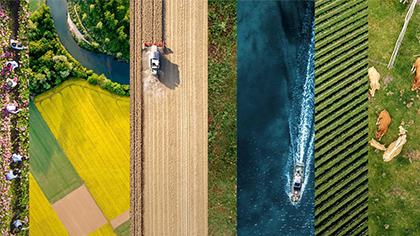 France 3 au cœur du Salon de l'agriculture