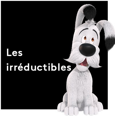 Idefix Les irréductibles - FTV