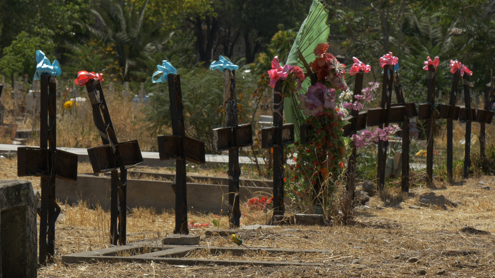 ©Droits réservés-CIMETIERE-doc-Elvira Diaz-Les disparus du patio 29