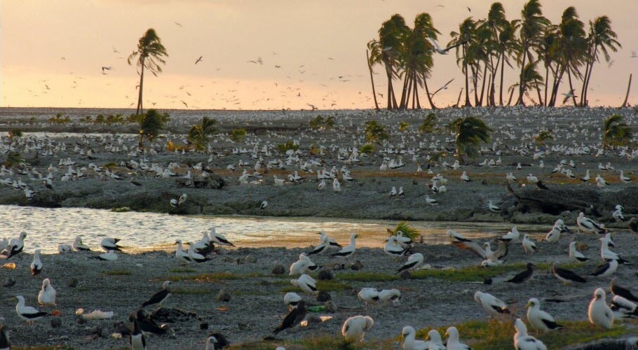 Île de Clipperton