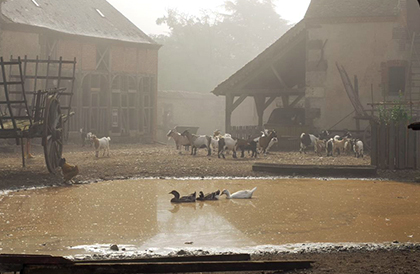 En terre animale à Guédelon