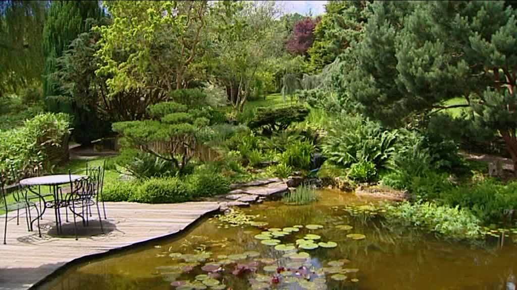 jardin aquatique autoreille