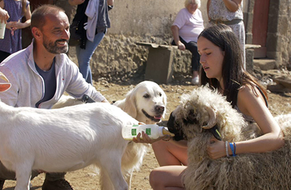 En terre animale à Guédelon