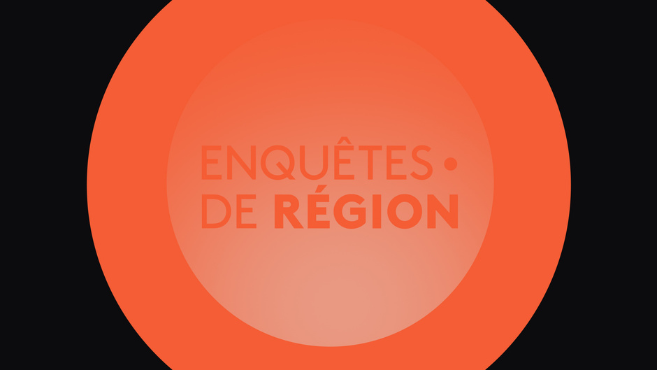 Logo Enquêtes de région