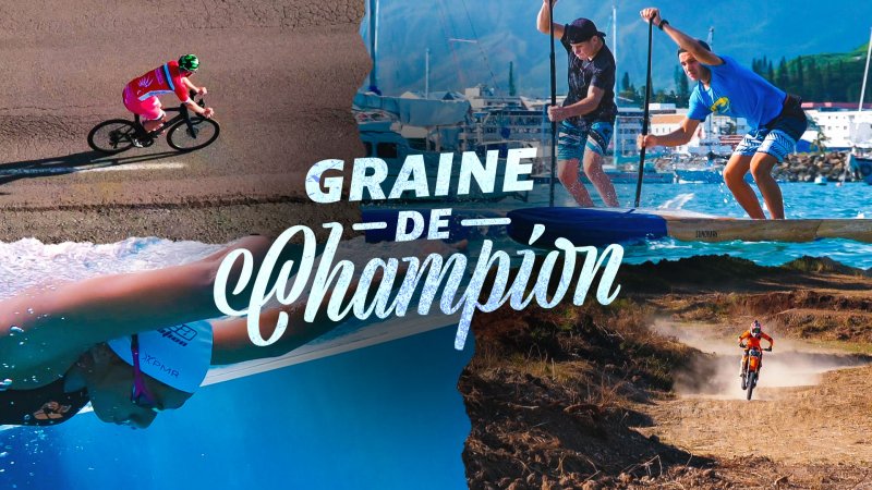 graine de champion 