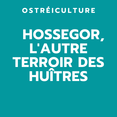 Huitres