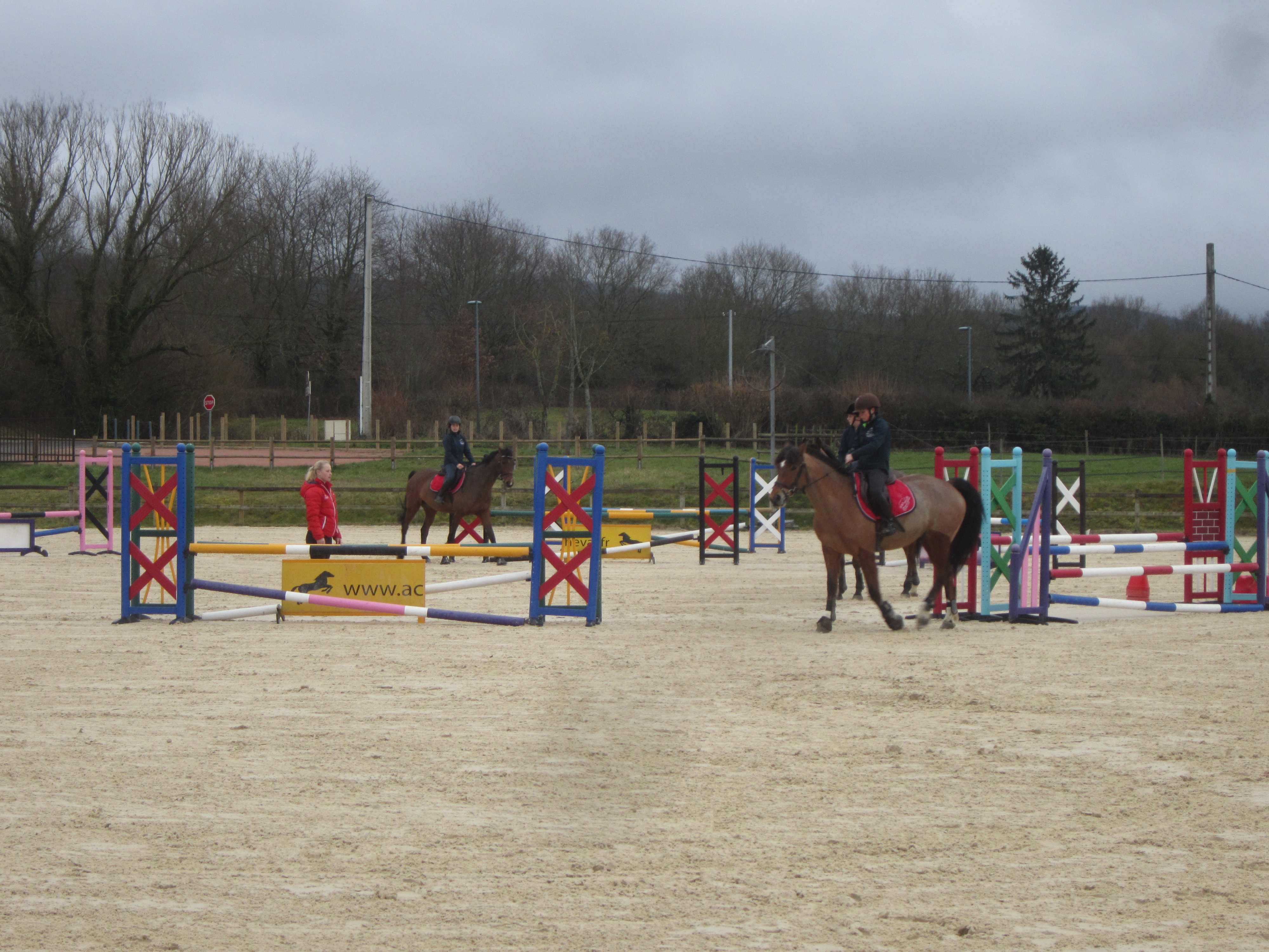 haras de Cluny©hanami