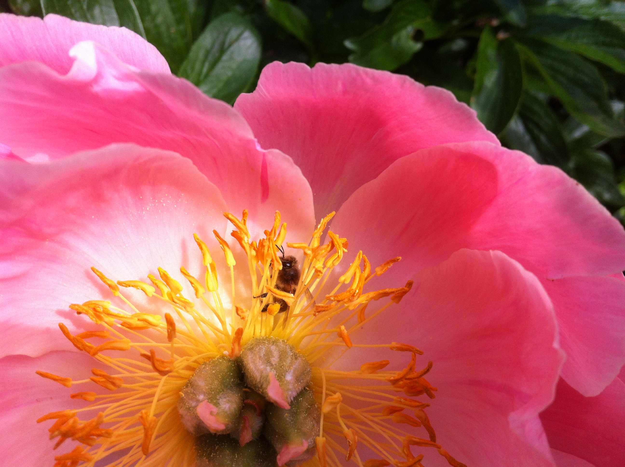 le jardin des sciences