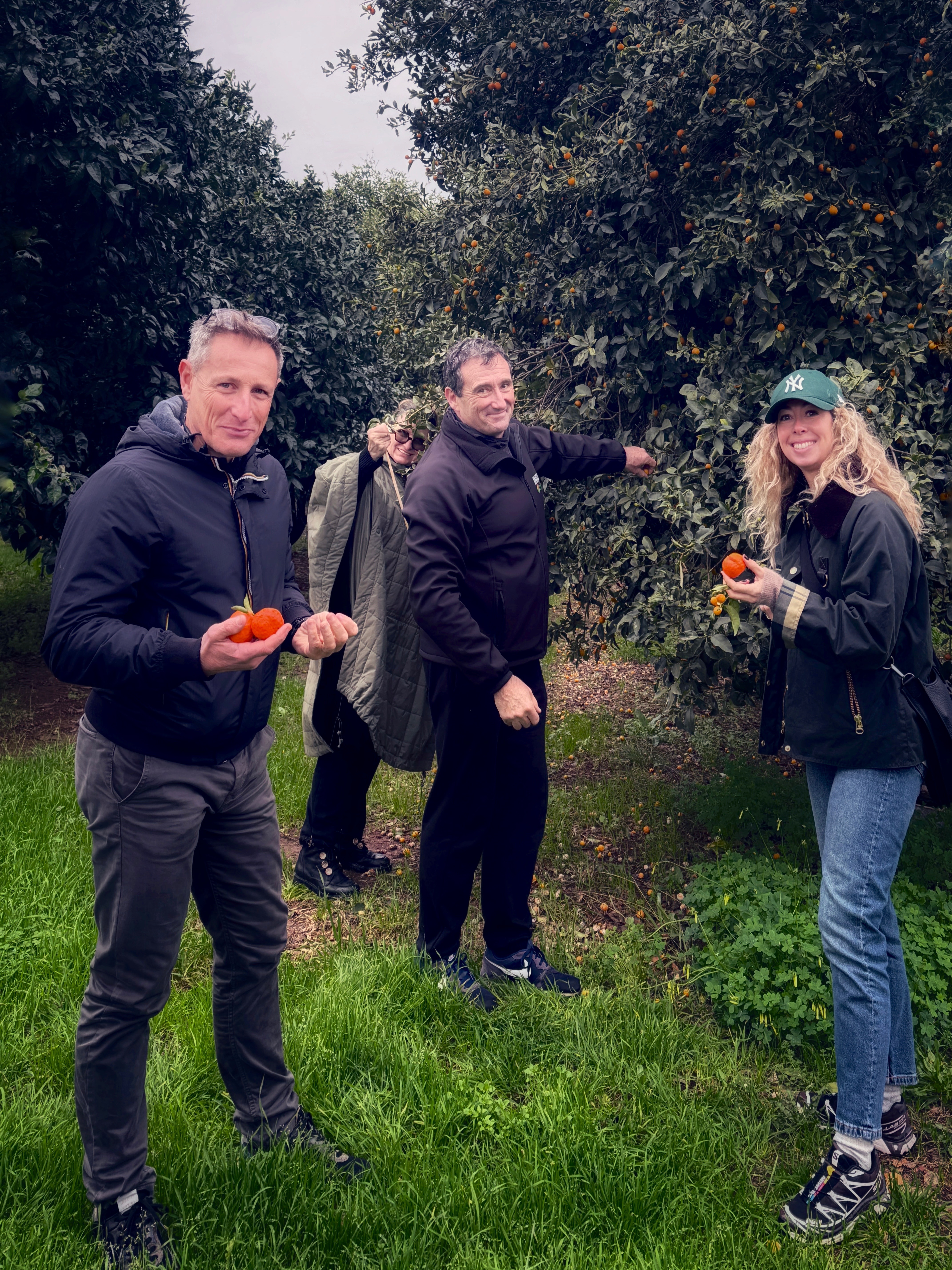 Les 100 ans de la clémentine corse
