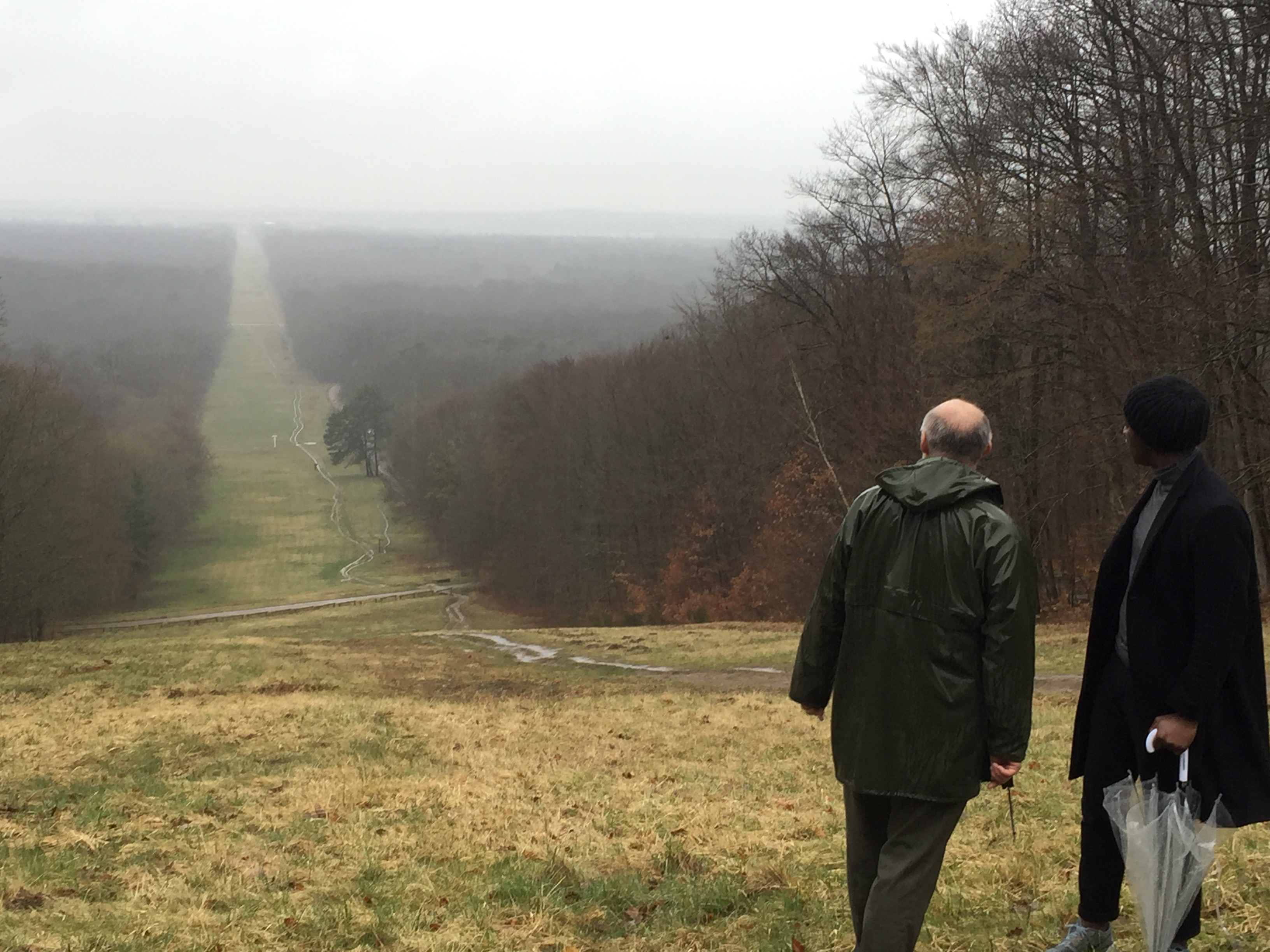 Forêt Compiègne