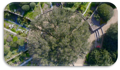 Des parcs et jardins merveilleux...