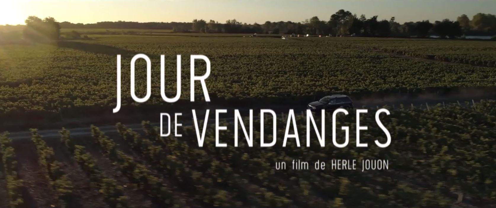 Jour de Vendanges © France 3