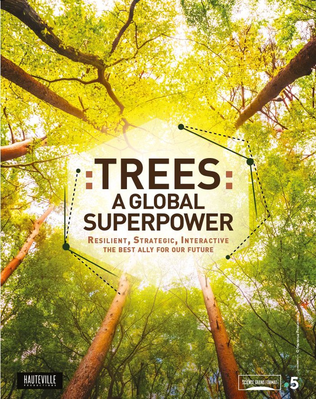 TREES: A GLOBAL SUPERPOWER