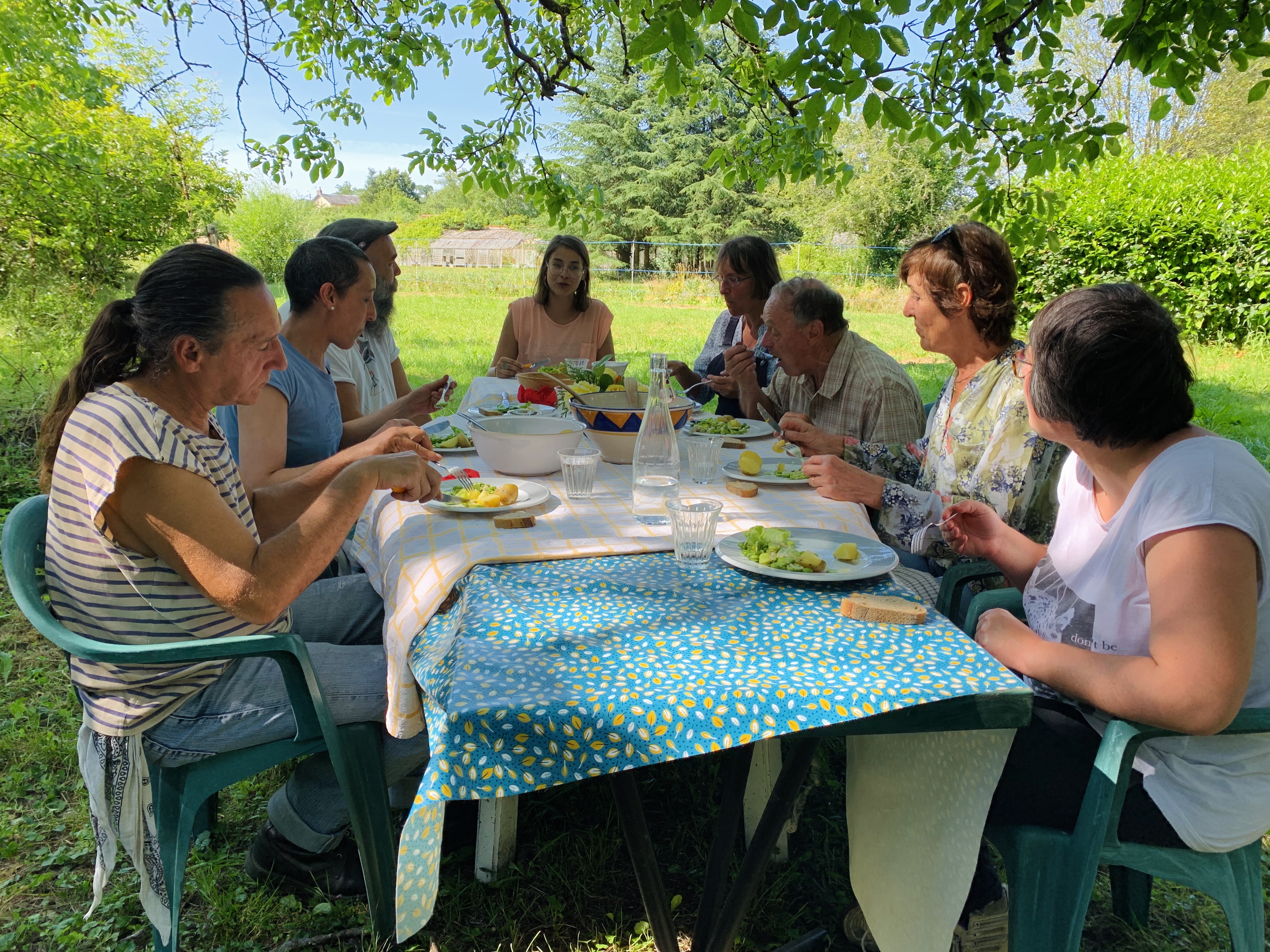 Le repas dans le jardin 