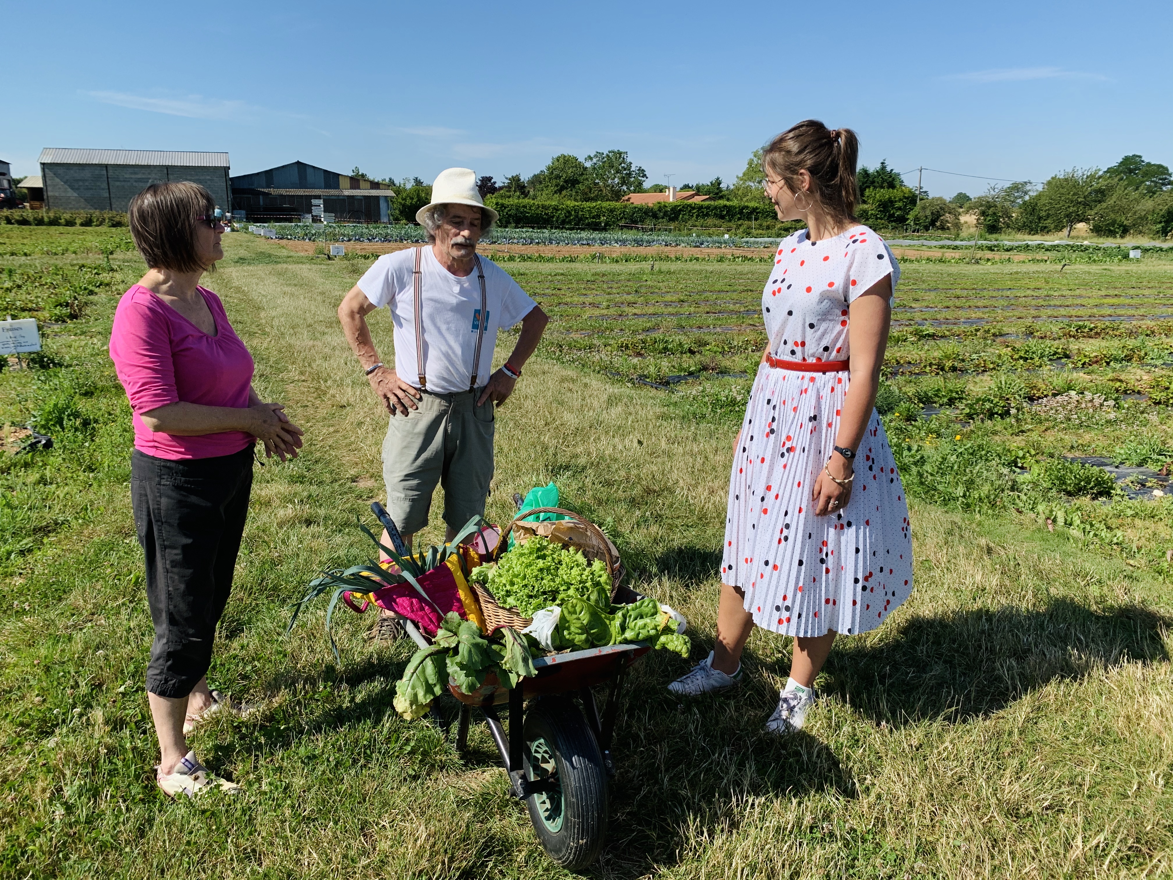 Les clients du potager 