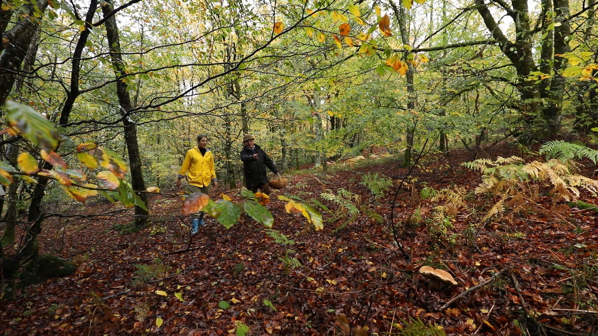 France et Jean-Louis dans les bois 