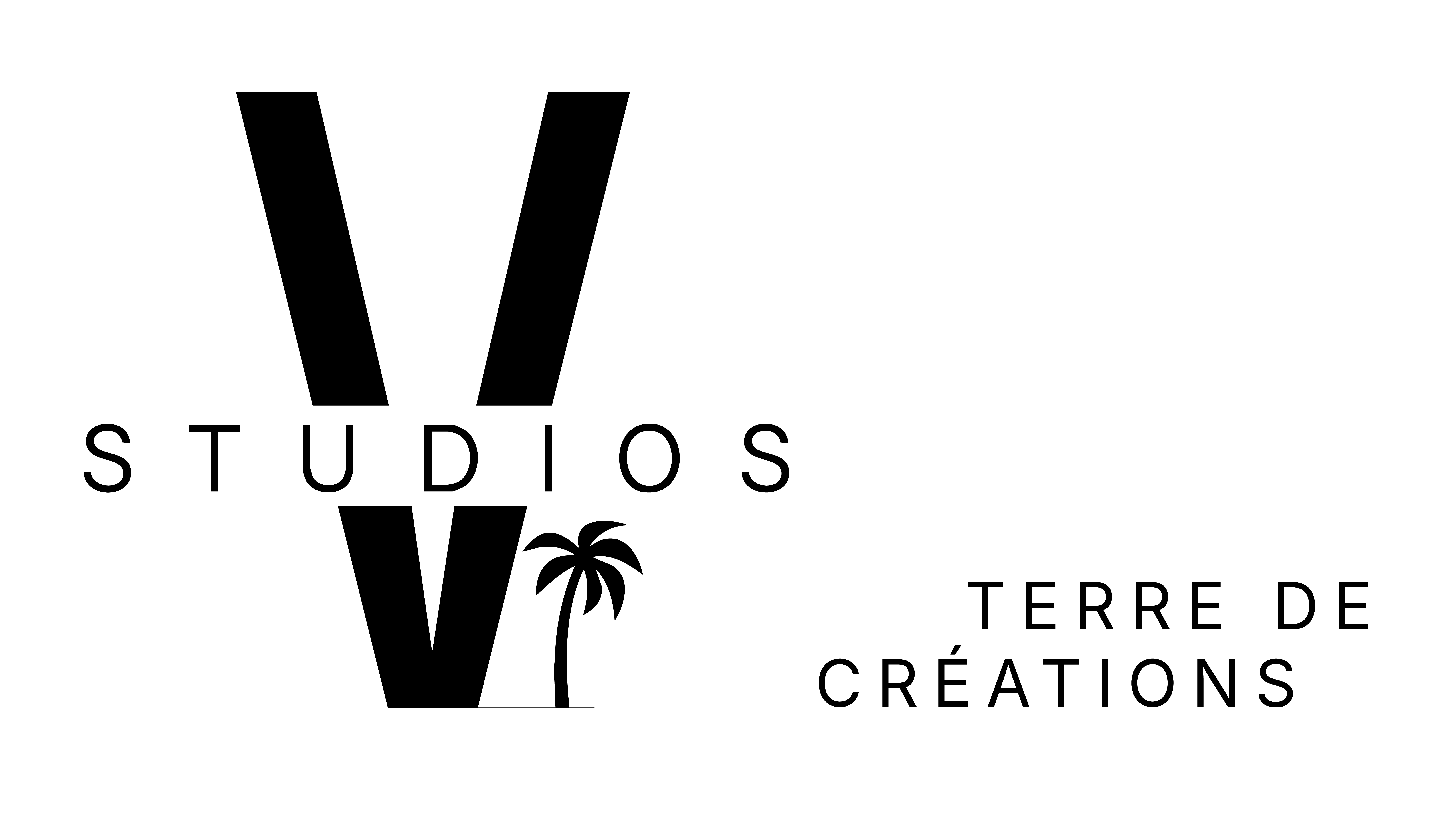 logo V Studios 2