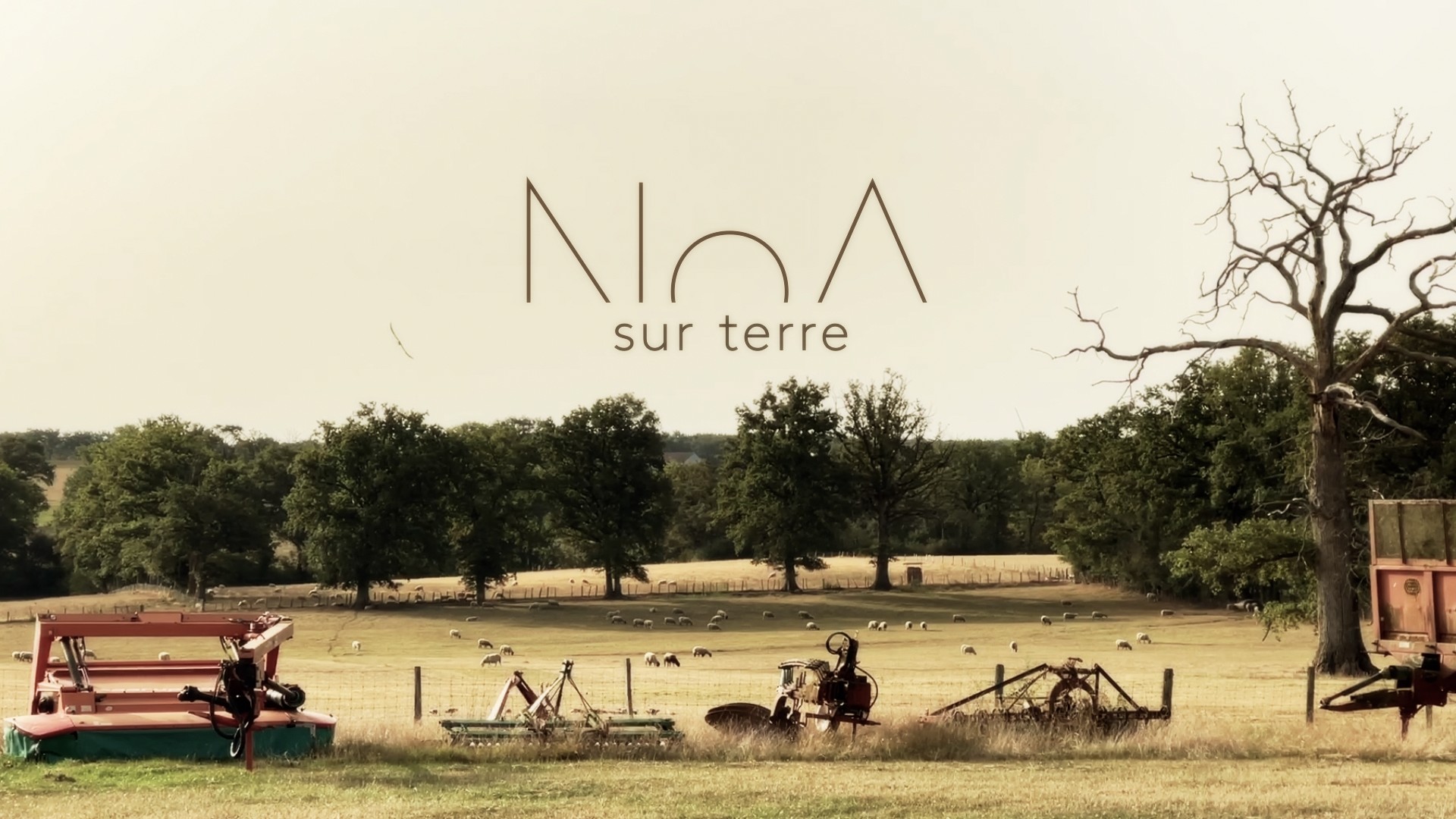 NoA sur terre