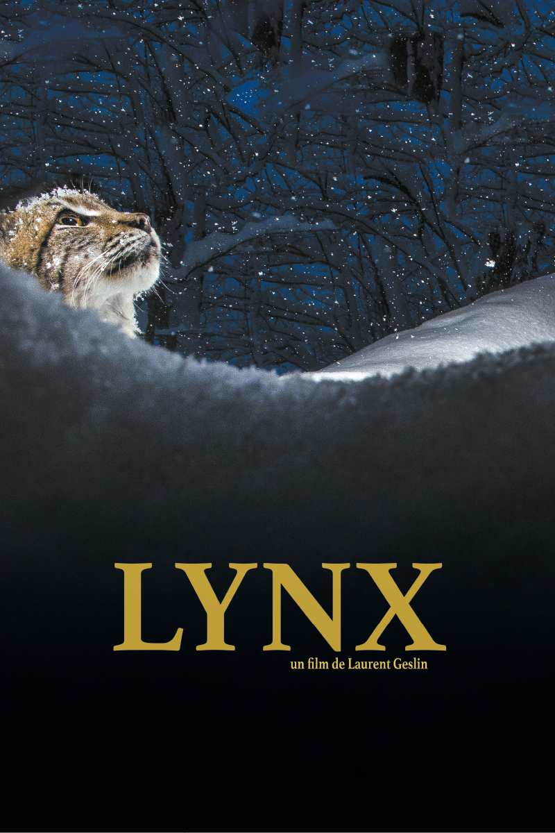 lynx