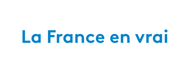 la France en vrai logo