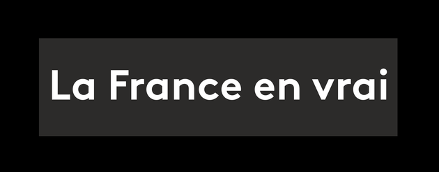 logo la France en vrai