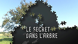 le secret dans l'arbre