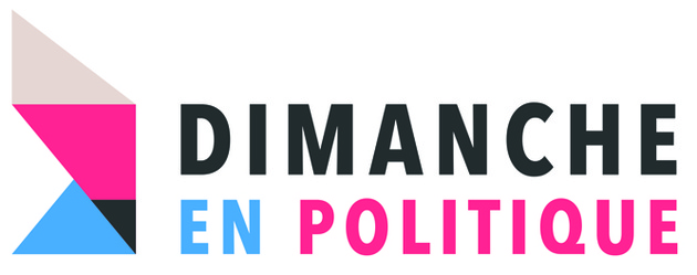 logo Dimanche en Politique